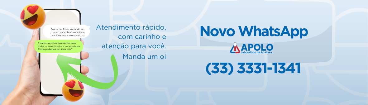 Novo WhatsApp